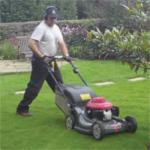 Lawn mowing and maintenance